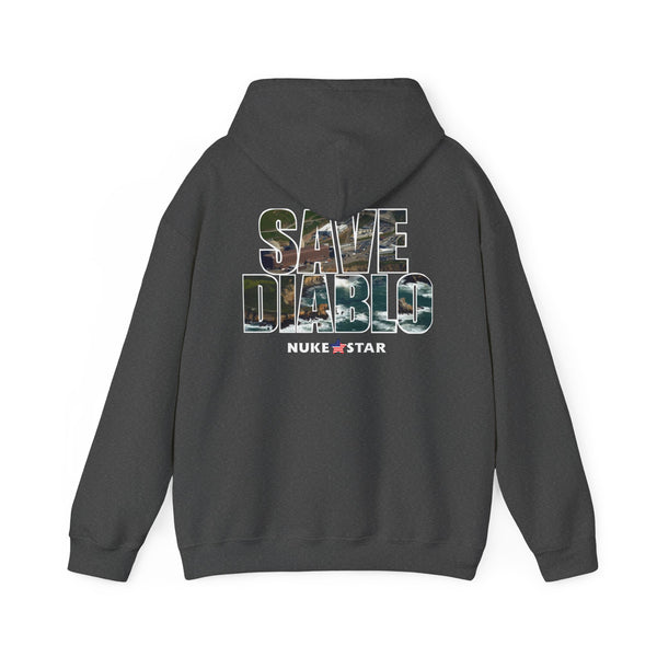 SAVE DIABLO Hoodie in color!