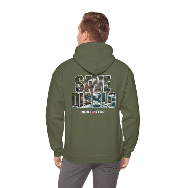 SAVE DIABLO Hoodie in color!