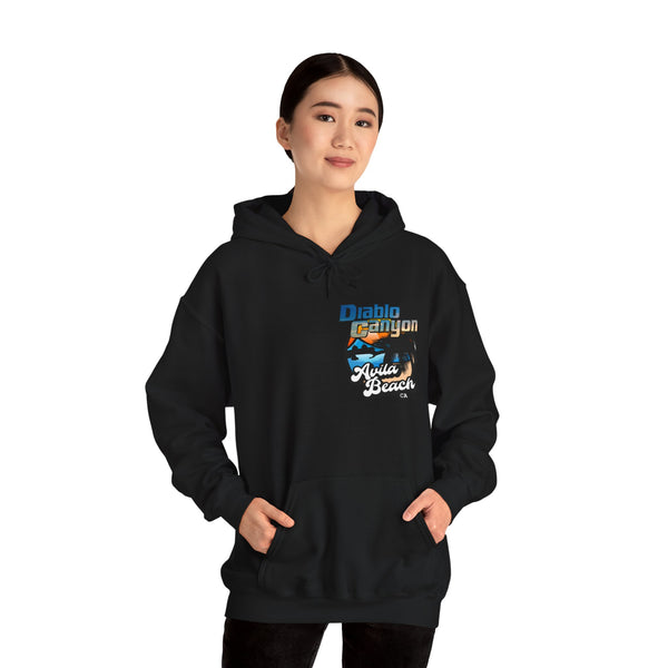 SAVE DIABLO Hoodie in color!