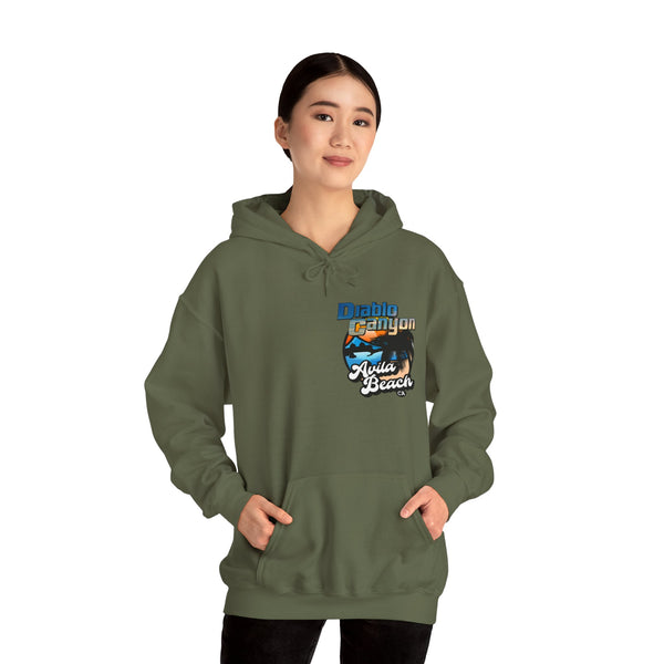 SAVE DIABLO Hoodie in color!