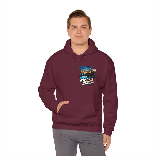 SAVE DIABLO Hoodie in color!