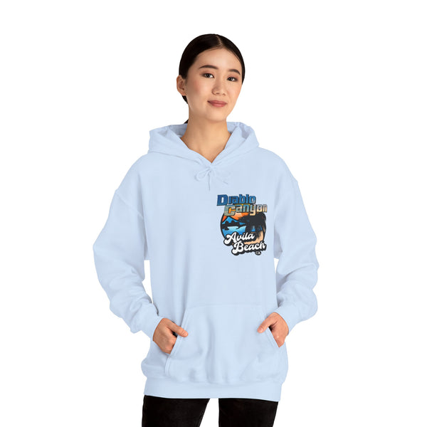 SAVE DIABLO Hoodie in color!