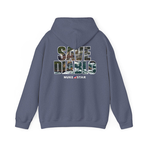 SAVE DIABLO Hoodie in color!