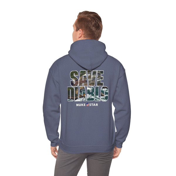 SAVE DIABLO Hoodie in color!
