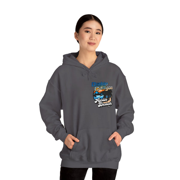 SAVE DIABLO Hoodie in color!