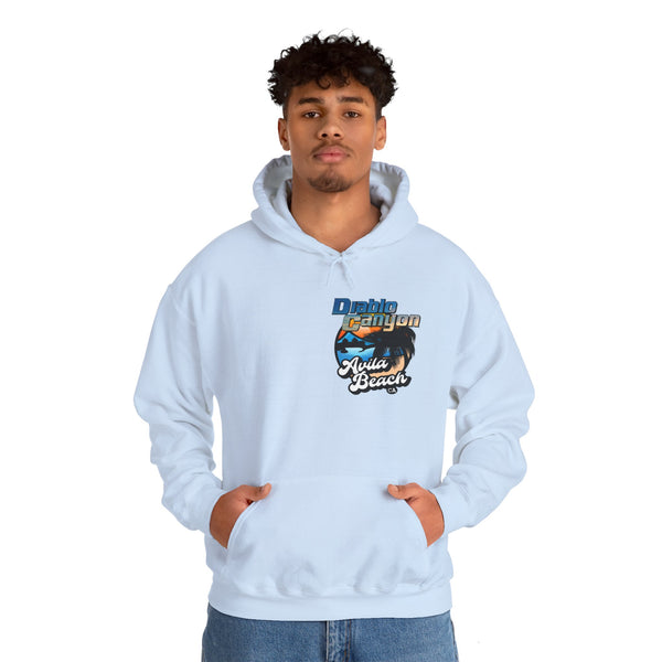 SAVE DIABLO Hoodie in color!