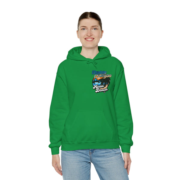 SAVE DIABLO Hoodie in color!