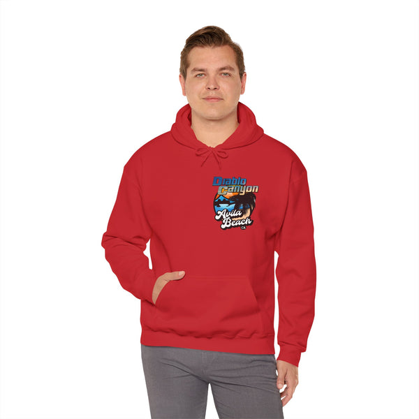 SAVE DIABLO Hoodie in color!