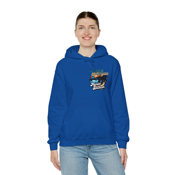 SAVE DIABLO Hoodie in color!