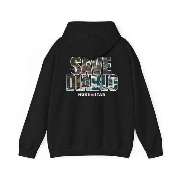 SAVE DIABLO Hoodie in color!